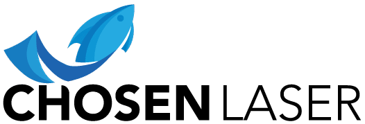 chosenlaser.in